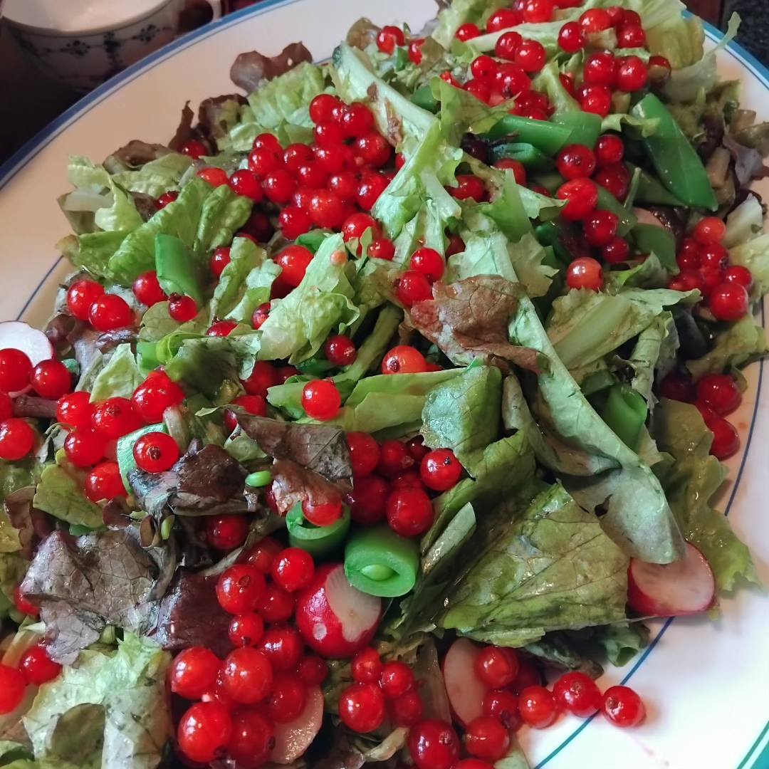 Salat